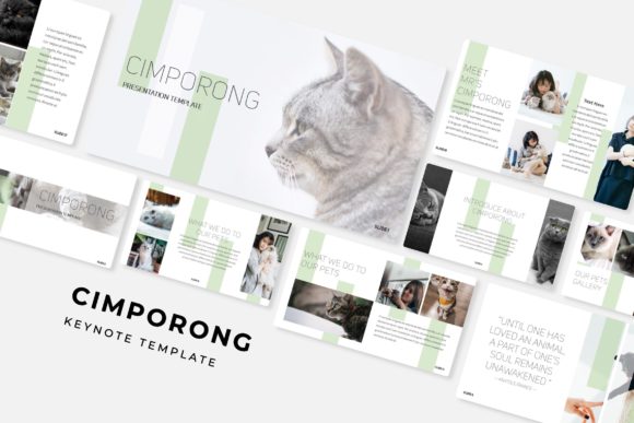 Cimporong Keynote Template: Modern Slides for Stunning Presentations
